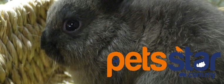Info > Small Mammal 3