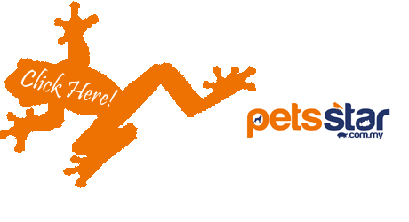 Special Offers Banner