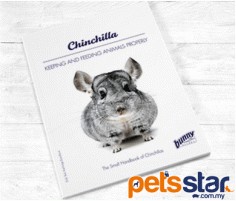 Bunny Nature Books Chinchilla Bunny Nature Books Chinchilla