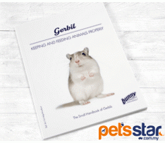 Bunny Nature Books Gerbil