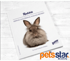Bunny Nature Books Rabbits
