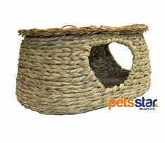 Living World Seagrass Hut