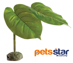 Exo Terra Scindapsus - Smart Plant / Tree Frog Plant