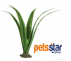 Exo Terra Pandanus - Smart Plant / Gecko Plant