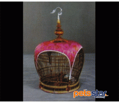 Cage YL-3104