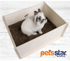 Bunny Nature Digging Box