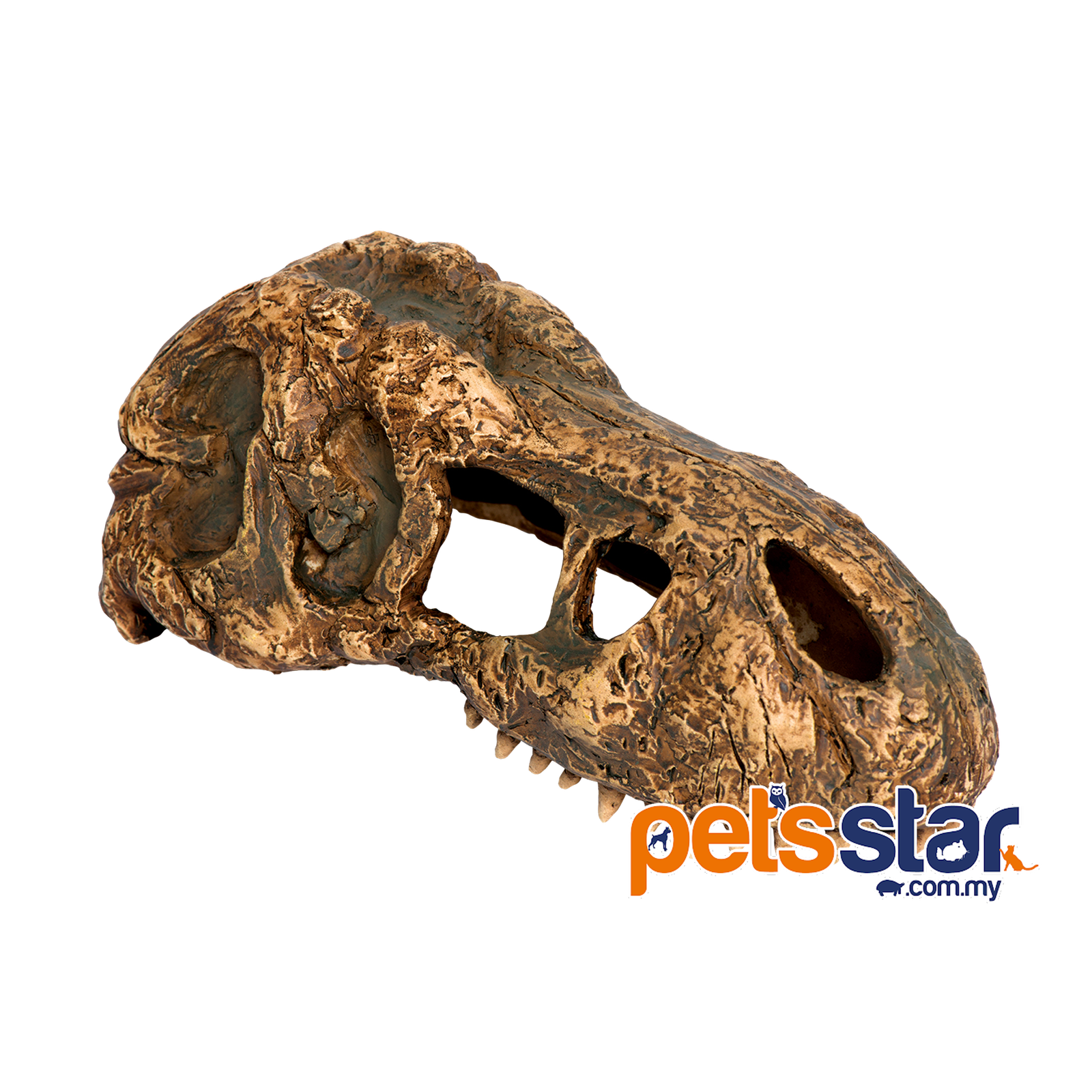 T-rex-skull_high-resolution_PT2860