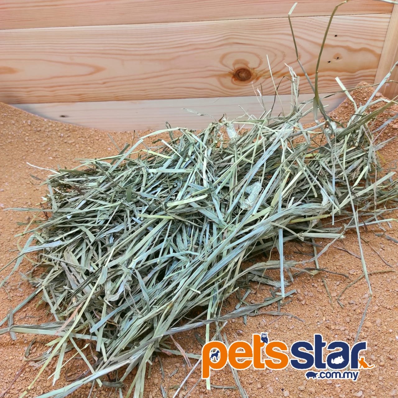 WhatsApp Image 2021-07-18 at 15.09.44 (1)